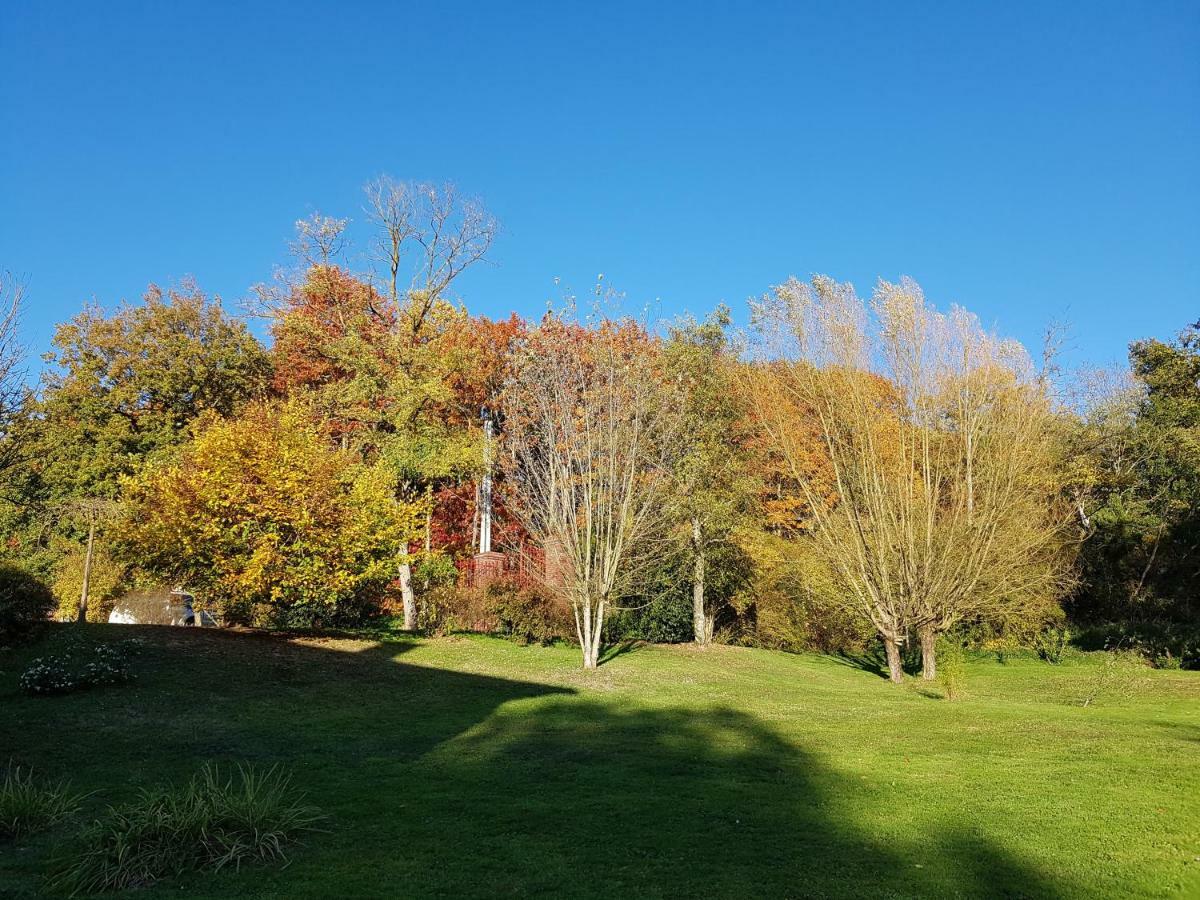 Le Moulin De Varax Saint-Paul-de-Varax エクステリア 写真